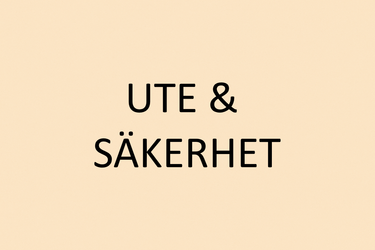 Hund på promenad med sele och reflex i kvällsljus