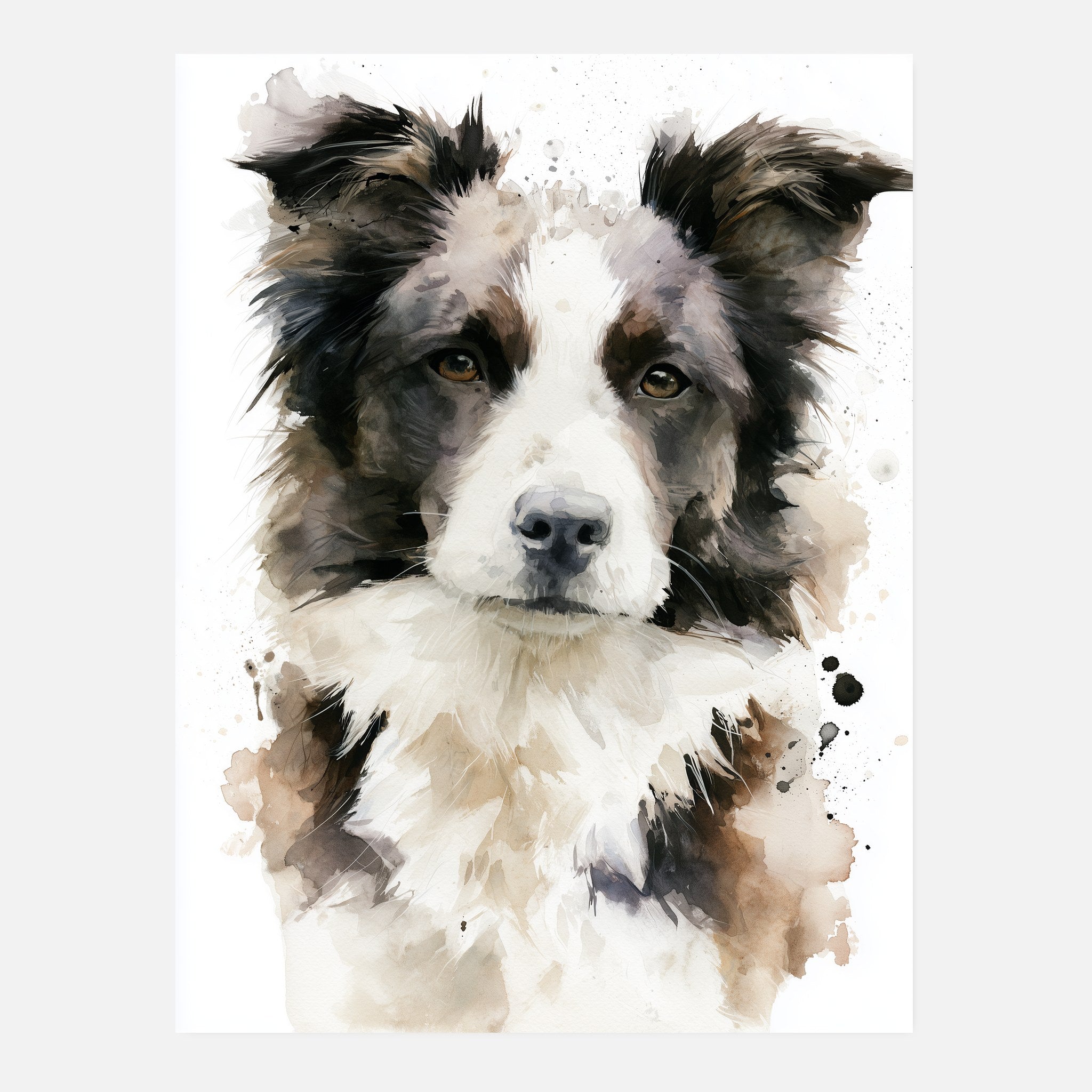 Border collie-tavla i akvarell - inramad poster i vardagsrumsmiljö