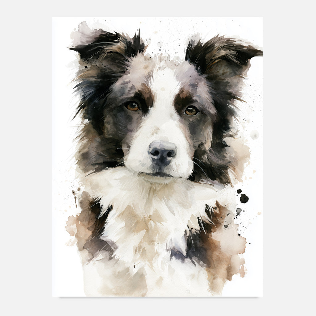 Border collie-tavla i akvarell - inramad poster över soffan