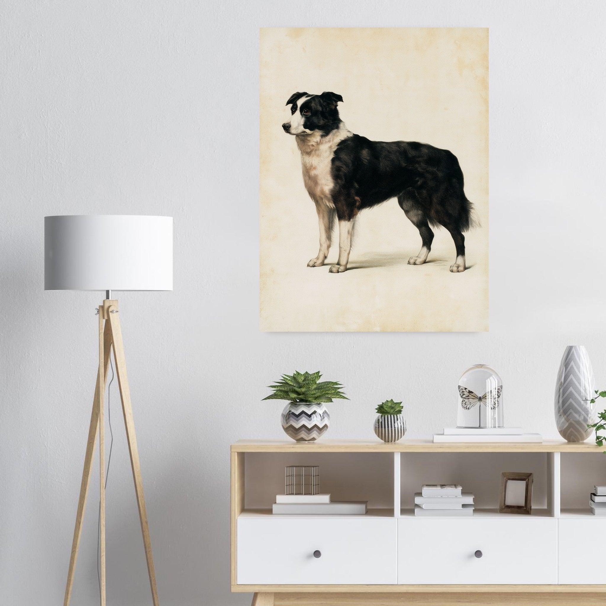 Border collie-tavla i antik plansch - inramad poster i ljus interiör