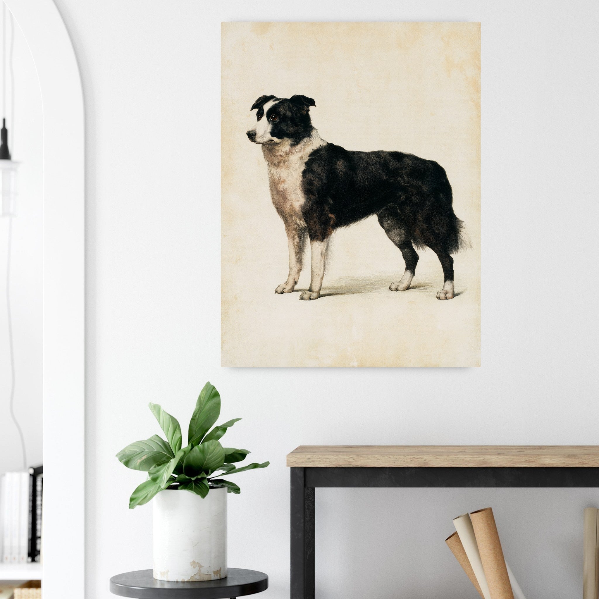 Border collie-tavla i antik plansch - närbild på tryckdetalj