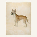 Chihuahua poster i antik planschstil - postervy