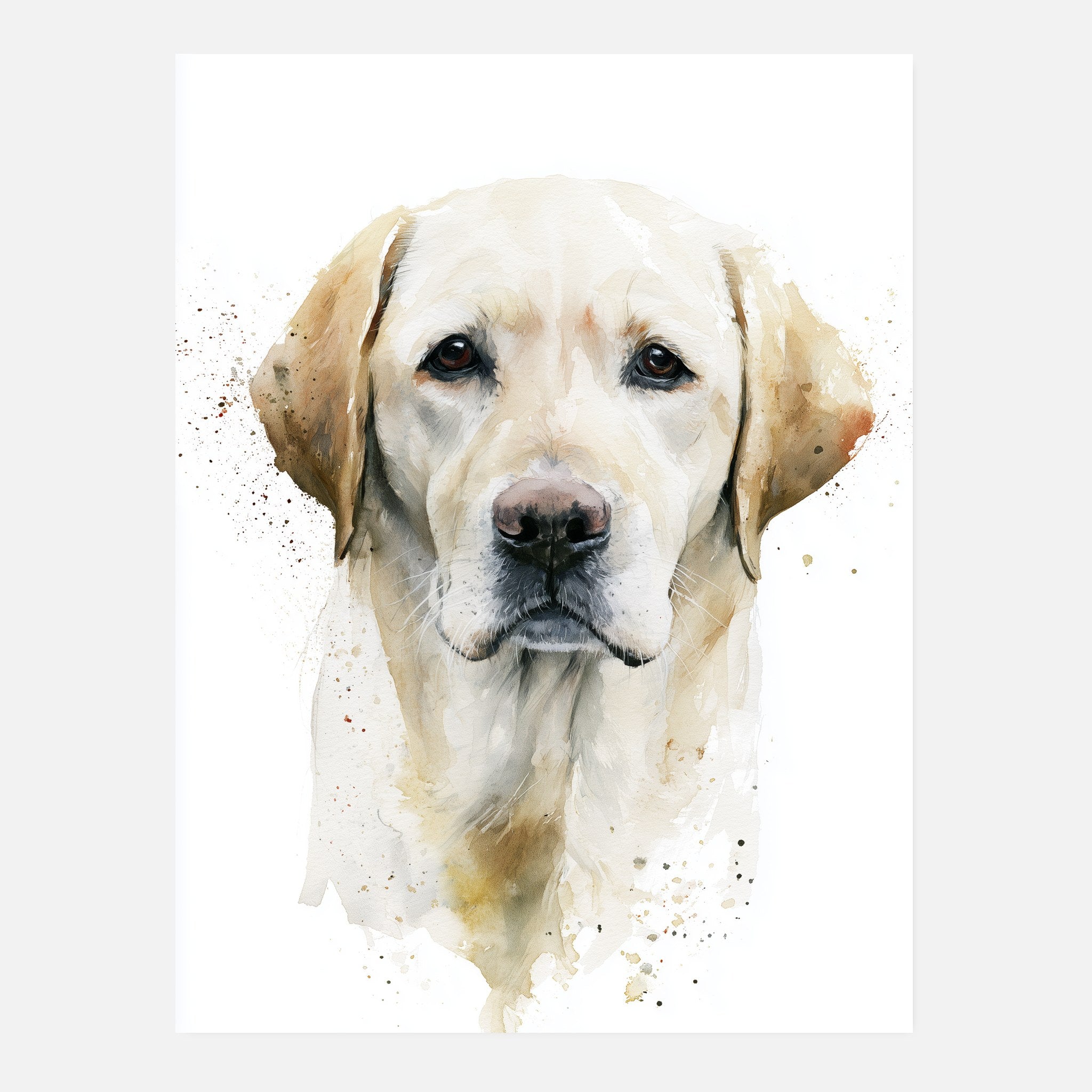 Labrador-tavla i akvarell - inramad poster i vardagsrumsmiljö