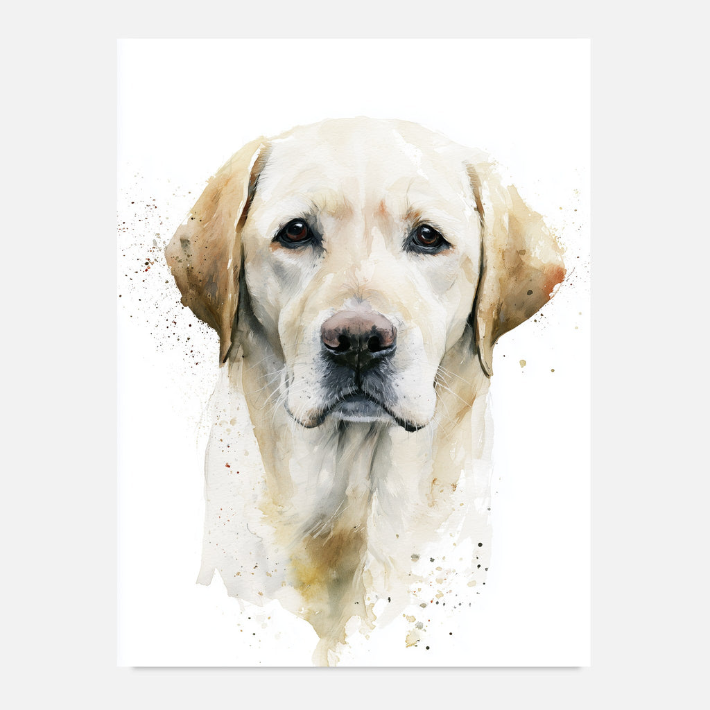 Labrador-tavla i akvarell - inramad poster över soffan