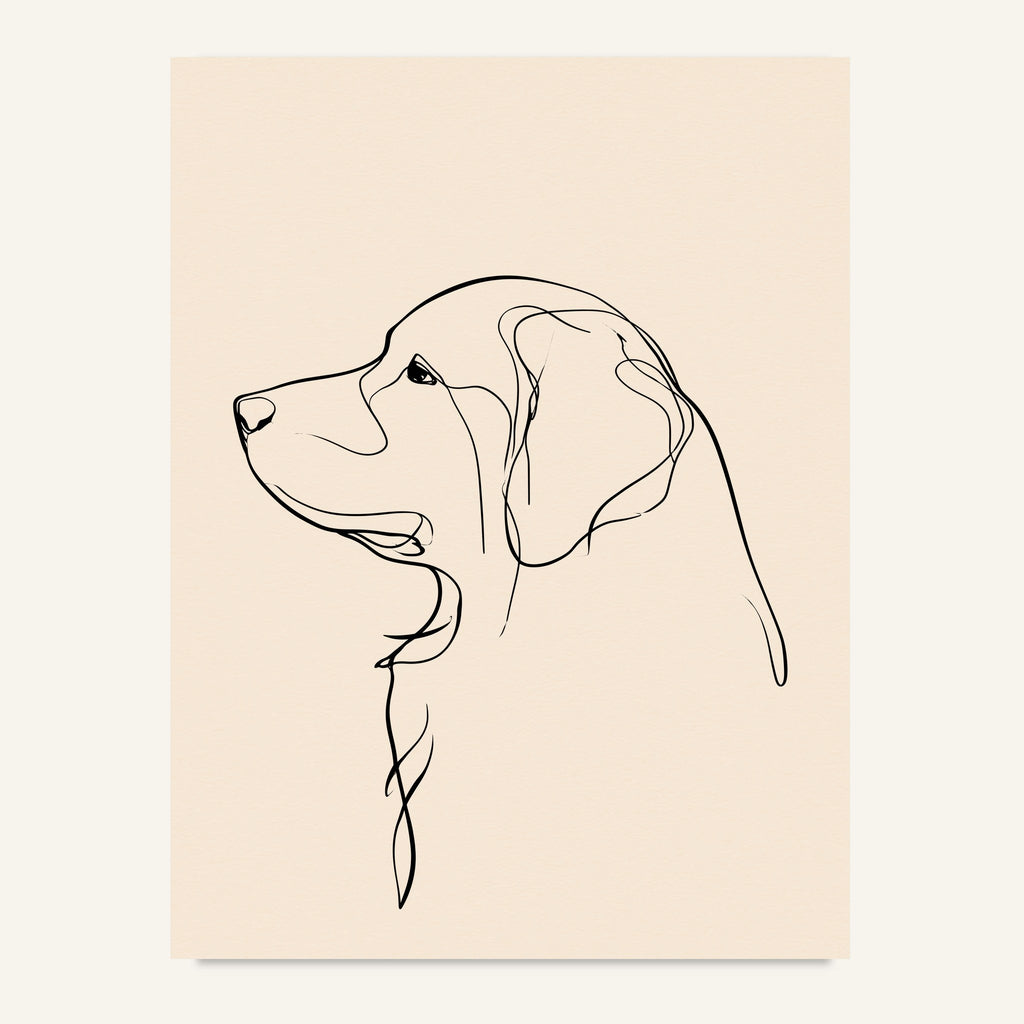 Labrador poster i minimalistisk linjekonst - postervy