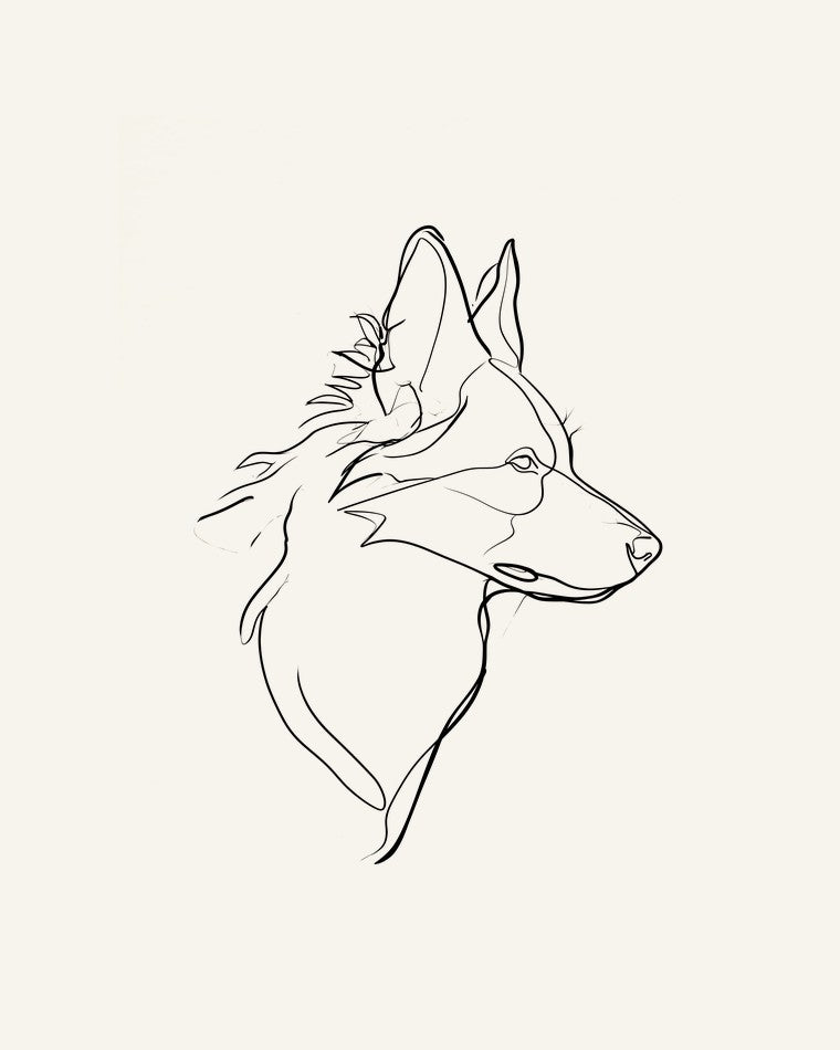 Border collie - linjekonst