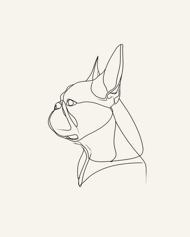 Fransk bulldogg - linjekonst