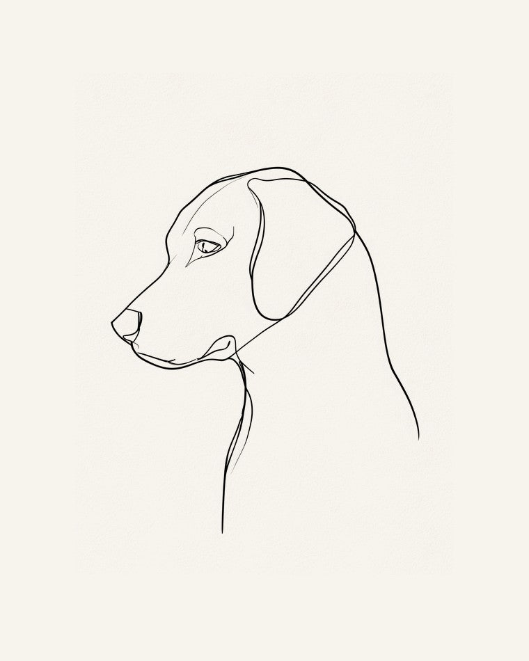 Golden retriever - linjekonst