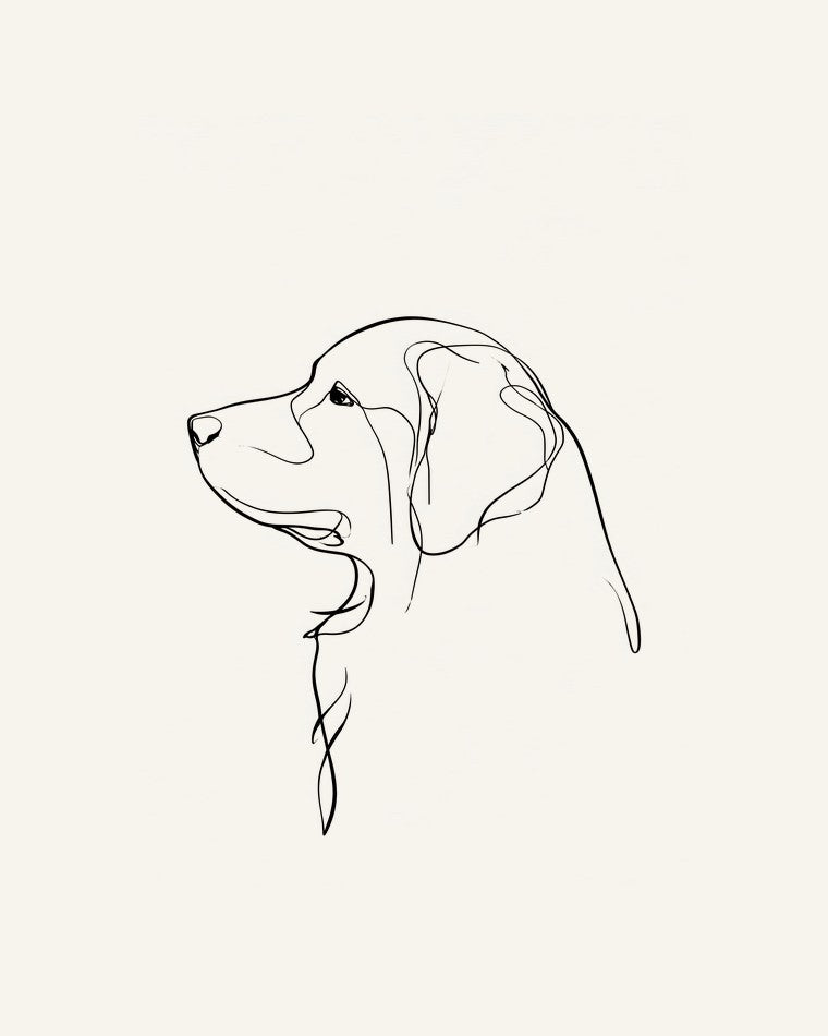 Labrador - linjekonst